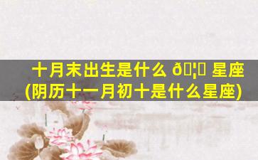 十月末出生是什么 🦅 星座(阴历十一月初十是什么星座)